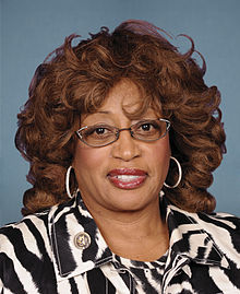 Florida Rep. Corrine Brown Files New Challenge to Congressional District Changes